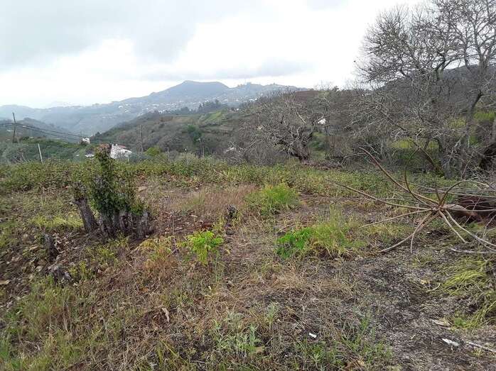 Finca abandonada (Foto TA)